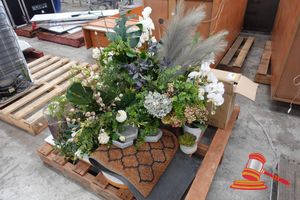 11 · ASSORTED PLANTS AND PICTURE FRAMES OF VARIOUS SIZES, POTS AND TYPES, ON A PALLET