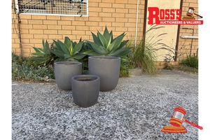 1 · Matching set of 3 Grey Planters - Sizes: 28 x 27 cm, 35 x 34 cm, 43 x 41 cm, RRP $270 Create a stylish designer display from the Big Buddha Trio range, featuring a rounded designer planter with a smooth contemporary finish, this range brings a clean, contemporary look to homes, patios, courtyards, entryways and landscaped spaces. Constructed from lightweight fibreglass-clay blend, it combines practical lightweight handling with a premium look. It is designed for indoor and outdoor use. UV and we