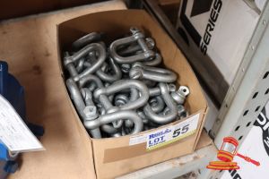 BOX OF D-SHACKLES