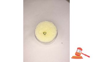 10 · SAPHIRE, TRILLION CUT, 0.2 CTS