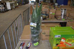 153 · SNAKE PLANT