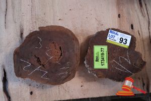 93 · JARRAH SLICE/COOKIE, L250/300mm x W230/270mm x D20/25 x QTY 2, APPROX SIZES