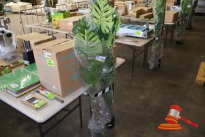 173 · MONSTERA TREE 160CM