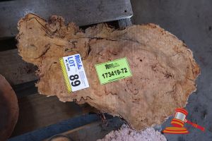 JARRAH BURL, L500mm x W300 x D 40/100mm, APPROX SIZES