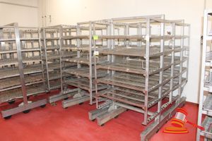 65 · 4 X STAINLESS STEEL 5 TIER MOBILE DRYING TROLLEYS WITH STAINLESS STEEL MESH SHELVES. APPROX 1030 X 1020 X H1950MM. NOTE CHANGE TO QNTY - 4 TROLLEYS