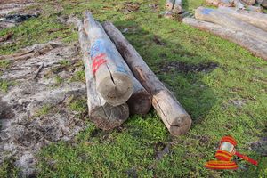 283 · BUNDLE OF 4 X JARRAH LOGS, 4.5 - 4.8 M LONG, 300 - 350mm DIAMETER