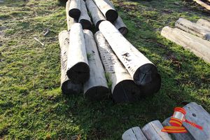 247 · BUNDLE OF 6 X JARRAH STRAINER POST LOGS,1.8 - 2.0 M LONG, ALL 300mm DIAMETER
