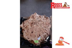 MARRI BURL SLICE, LIVE EDGE, L970mm x W900mm x 800mm x 870mm x 440mm x DEPTH 45/50mm, APPROX