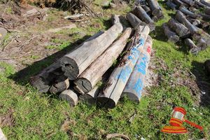 197 · BUNDLE OF 9 X JARRAH STRAINER POST LOGS, 1.8 - 2.1 M LONG, ALL 250mm DIAMETER