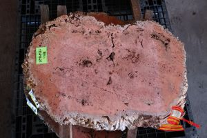 JARRAH BURL SLICE, LIVE EDGE, L900mm x W600mm x 800mm x 870mm x 440mm x DEPTH 45/50mm, APPROX