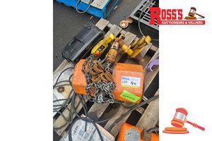 40 · HITACHI ELECTRICAL CHAIN HOIST 1 TONNE (PS1860)