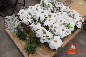 57 · APPROX 30 X ARTIFICIAL WHITE POINSETTIA FLOWERS IN POTS. HEIGHT APPROX 260MM AND 4 X ASSORTED ARTIFICIAL PLANTS IN POTS