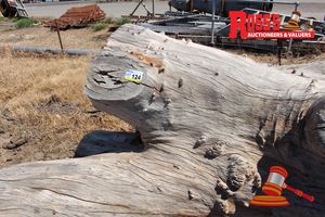 124 · ALL207- LANDSCAPE LOGS 500-1500mm (Diameter) x 2.7m Landscape MULTIFORKED Log Stump