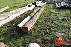 275 · BUNDLE OF 2 X JARRAH LOGS,1 @ 5.1, 1 @ 5.6 M LONG, ALL 300mm DIAMETER