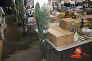 80 · PALM TREE 170CM