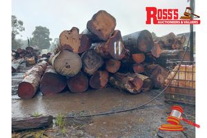 11 · 19 x EUCALYPTUS MARGINATA JARRAH LOGS, APPROX DIMENSIONS: 5-7.4m/550-800mm, APPROX WEIGHT: 48.9 TONNES - NOTE: DOMESTIC PROCESSING REQUIRED
