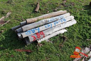 389 · BUNDLE OF 13 X JARRAH FENCE POSTS LOGS, 1.5 - 1.8 M LONG, 125 - 150 mm DIAMETER