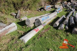 211 · 4 ASSORTED JARRAH LOGS
