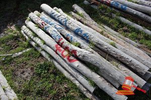 400 · BUNDLE OF 25 X JARRAH FENCE POSTS LOGS - 2.0 M LONG, 100mm DIAMETER