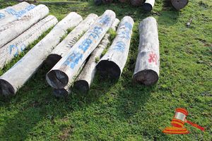 335 · BUNDLE OF 7 X JARRAH STRAINER POST LOGS, 2 @ 2.3M LONG, 200mm DIAMETER, 2 @ 2.2, 3 @ 1.8M LONG, 300mm DIAMETER