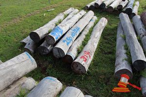 314 · BUNDLE OF 10 X JARRAH STRAINER POST LOGS,2.4M LONG, ALL 250mm DIAMETER