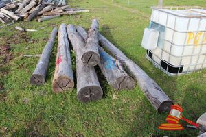 289 · BUNDLE OF 6 X JARRAH LOGS, 4.0 - 4.5M LONG, ALL 250mm DIAMETER