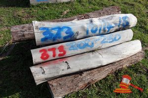 373 · BUNDLE OF 10 X JARRAH STRAINER POST LOGS, 1.4 - 1.8M LONG, 200 - 250mm DIAMETER