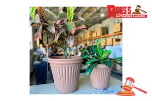 Set of 2 Terracotta Tall Lightweight Round Pots - Sizes: 44 x 39 cm, 35 x 31 cm, RRP $140 A coordinated set of two warm lightweight planters, combining the classic terracotta look with easier handling. Made from lightweight composite material (50% stone, 45% high-density resin and 5% fiberglass). UV-treated for indoor or outdoor use, with drainage.