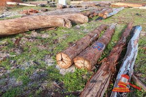 266 · BUNDLE OF 2 X JARRAH LOGS,1 @ 3.5, 1 @ 3.6 M LONG, ALL 350mm DIAMETER