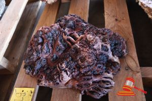 Jarrah Burl/Cookie, L300/400mm X W250/270mm X D30/40 X Qty 2, Approx Sizes