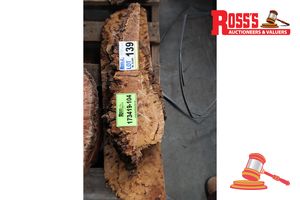 Blackbutt Off Cut Slice, Various Sizes, L500/800mm X W100/200mm X D50/100mm X 3 Qty, Approx Size
