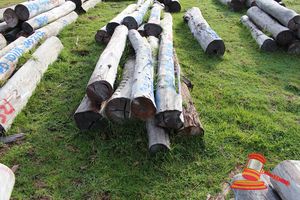 322 · BUNDLE OF 7 X JARRAH STRAINER POST LOGS,3 @ 2.0M LONG, 200mm DIAMETER, 3 @ 1.8M LONG, 250mm DIAMETER, 1 @ 2.0M LONG, 300mm DIAMETER