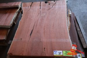 JARRAH SLAB, L1150mm x W800mm/880mm x DEPTH 40mm APPROX