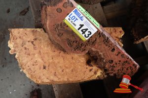 Jarrah Off Cut Burl/Nut Slice, L400/450mm X W140/200mm X D50/100mm X Qty 2, Approx Sizes