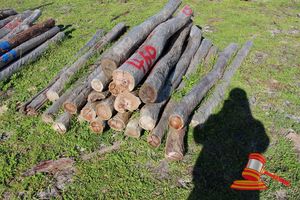 460 · BUNDLE OF 25 X JARRAH FENCE POSTS LOGS - 2.0 M LONG, 100 - 125mm DIAMETER
