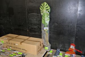 489 · MONSTERA TREE 110CM