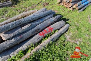 424 · BUNDLE OF 18 X JARRAH FENCE POSTS LOGS - 2.0 M LONG, 150mm DIAMETER