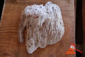 Jarrah Burl/Cookie, L300/350mm X W260/270mm X D30/35mm X Qty 2, Approx Sizes