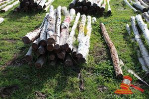 349 · BUNDLE OF 25 X JARRAH FENCE POSTS LOGS, 2.0M LONG, 100 - 125mm DIAMETER