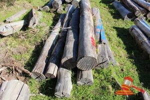 188 · BUNDLE OF 8 X JARRAH STRAINER POST LOGS, 2.2 - 2.7 M LONG, ALL 300mm DIAMETER