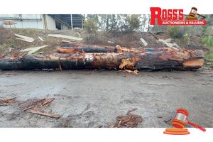 45 · 8 x EUCALYPTUS MARGINATA JARRAH LOGS APPROX DIMENSIONS: 5.8-11m/700-850mm - APPROX WEIGHT: - 33.6 TONNES, NOTE: DOMESTIC PROCESSING REQUIRED