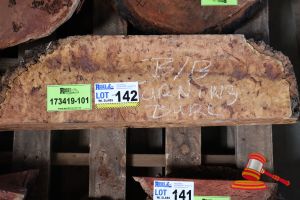 Blackbutt-Turning Burl/Post L700mm X W200mm X D210/251, Qty 1, Approx Size